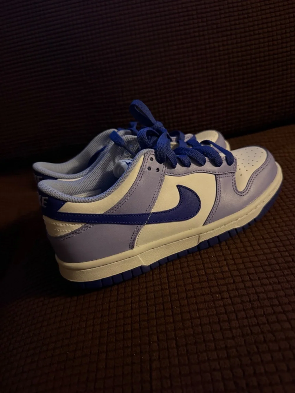 Nike Dunks Low Sneakers